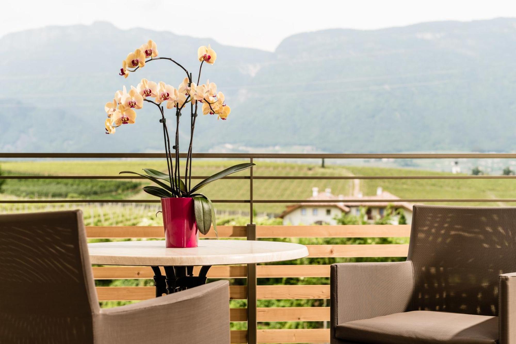 Hotel Girlanerhof Аппиано-Сулла-Страда-дель-Вино Номер фото